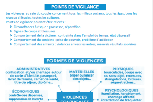 fiche VIOLENCES